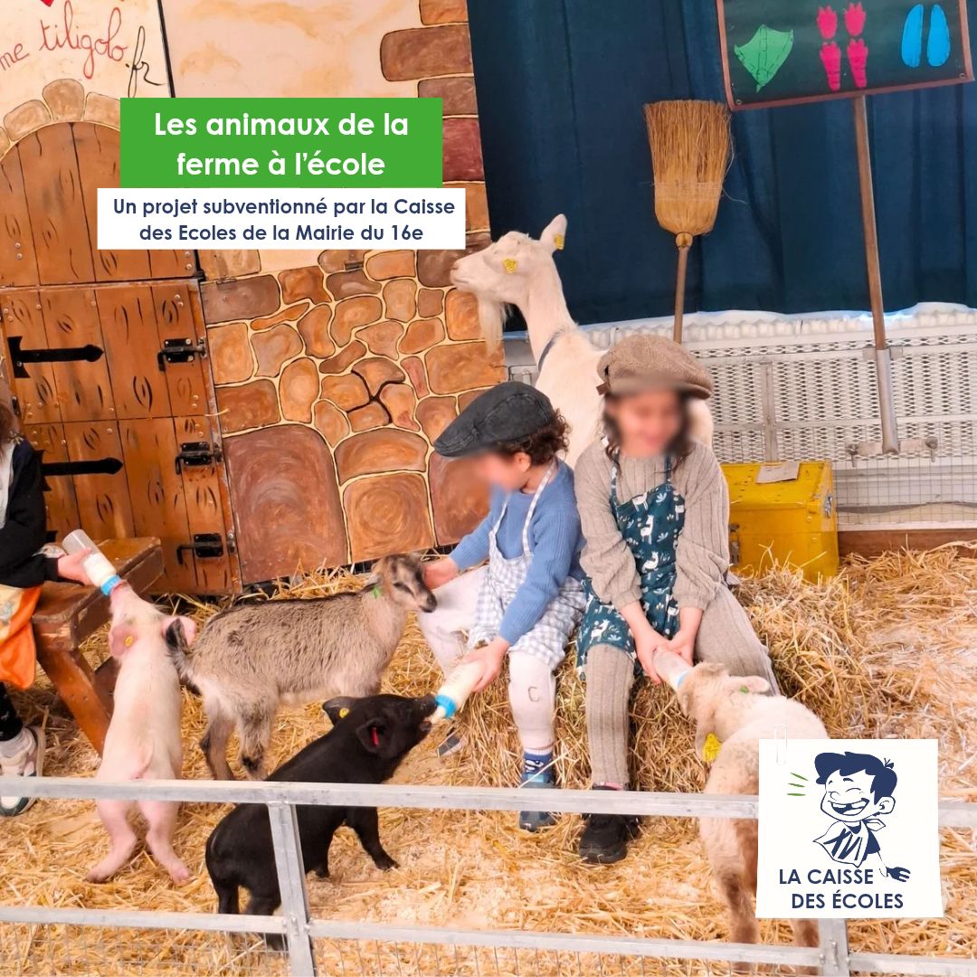 Les animaux de la ferme à l&rsquo;école